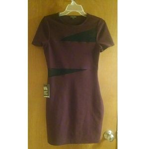 Express Mesh Insert Purple Dress
