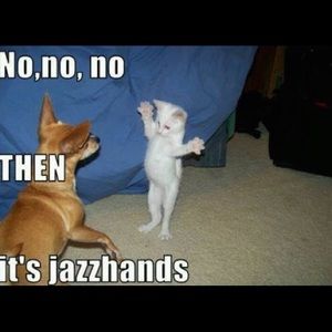 Meet your Posher, Marsi