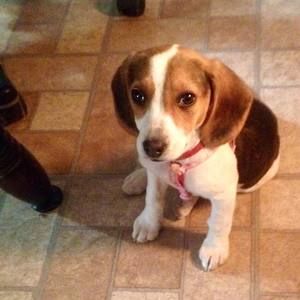 Meet your Posher, Ruthann