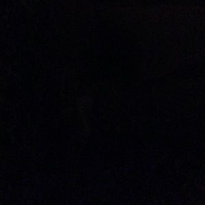 Meet your Posher, Lashay