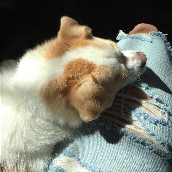 Meet your Posher, Julia - Picture 2 of 2