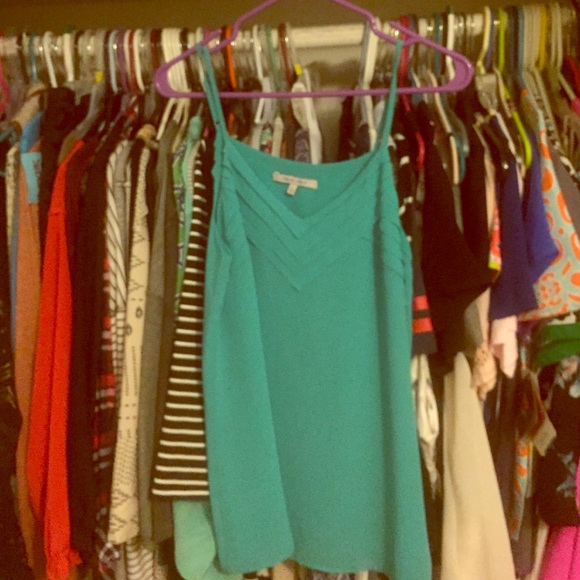 Naked Zebra Tops - Teal tank