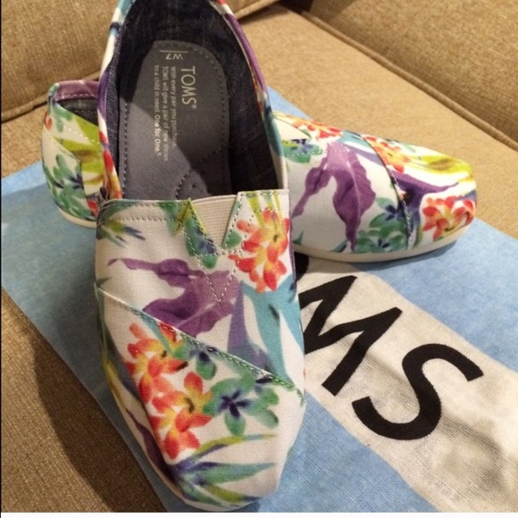 Never been worn toms size 7