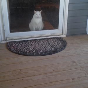 Meet your Posher, Theresa