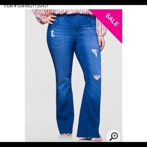 Ashley Stewart Flare Leg Jean
