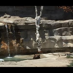 Meet your Posher, Theresa