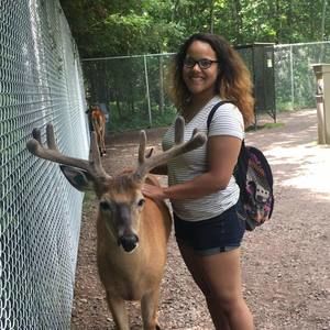 Meet your Posher, Asia