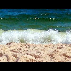 Meet your Posher, Amelia