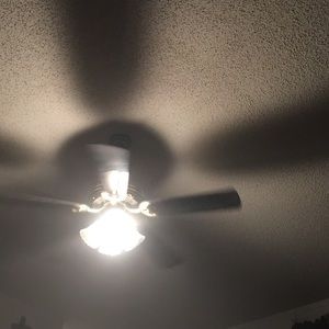 Meet your Posher, Bernadette