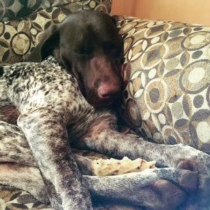 Meet your Posher, Amber