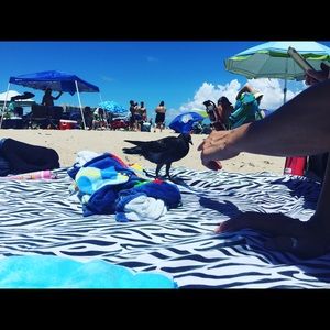 Meet your Posher, Vickie