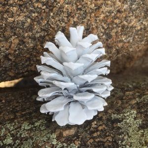 White Pine Cones  (Painted)