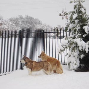 Meet your Posher, Barbara