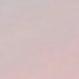 Meet your Posher, Yesenia