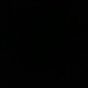 Meet your Posher, Mitzi