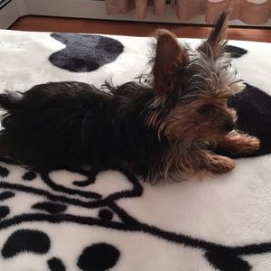 Meet your Posher, Grace