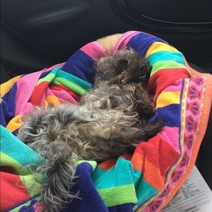 Meet your Posher, Emma