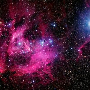 Meet your Posher, Keegan