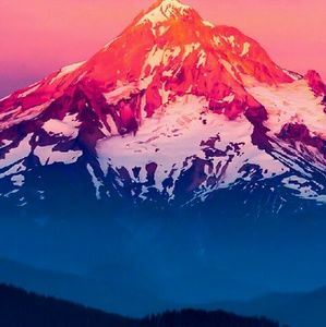 Meet your Posher, Jessi