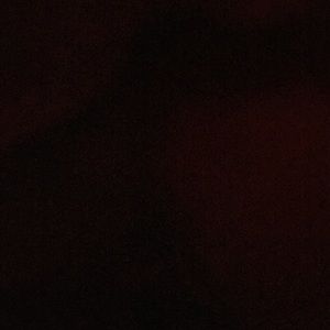 Meet your Posher, Anelly