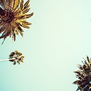 Meet your Posher, Lei