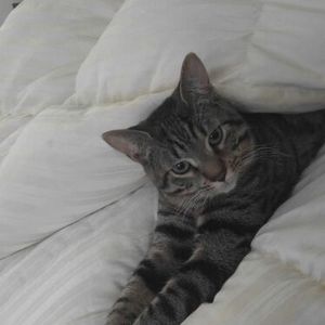 Meet your Posher, Kimberly