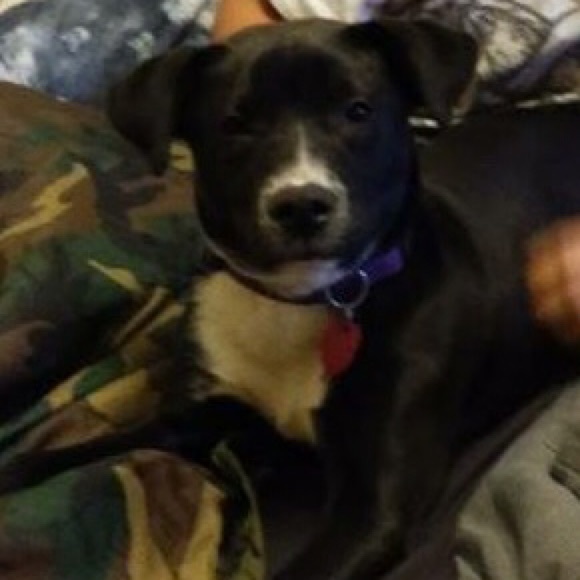 Meet your Posher, Michele - Picture 2 of 2