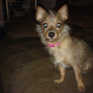 Meet your Posher, Joanna