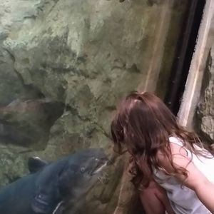 Meet your Posher, Ann