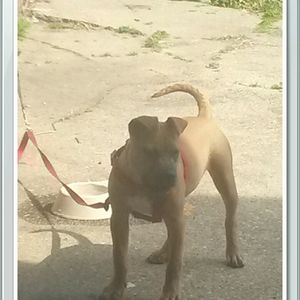 Meet your Posher, Antonio