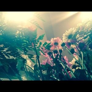 Meet your Posher, Janira