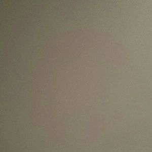 Meet your Posher, Jan