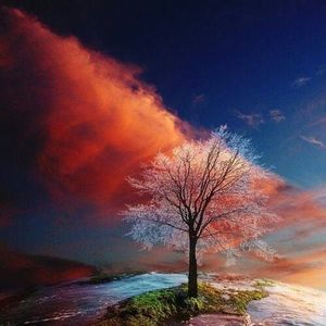 Meet your Posher, Luis