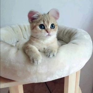 Meet your Posher, Ari