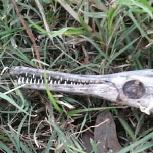 Meet your Posher, Joyce