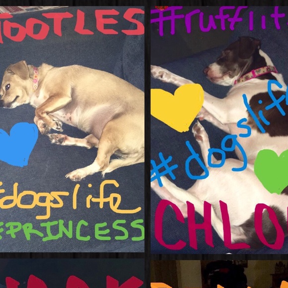 Meet your Posher, Angela - Picture 8 of 11