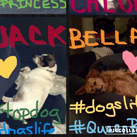 Meet your Posher, Angela - Picture 7 of 11