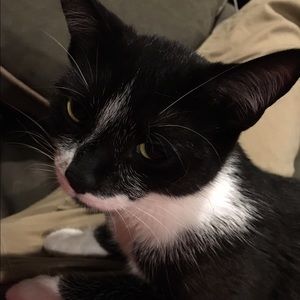 Meet your Posher, Jill