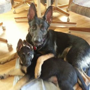 Meet your Posher, Kimberly