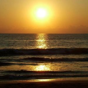 Meet your Posher, Marisol