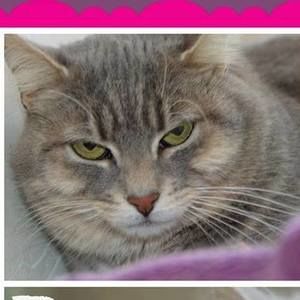 Meet your Posher, Leah