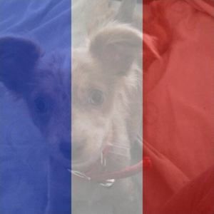 Meet your Posher, Annette