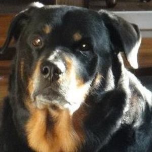 Meet your Posher, Rosemary