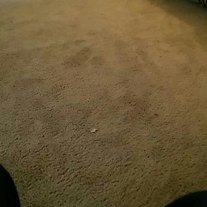 Meet your Posher, Lelia