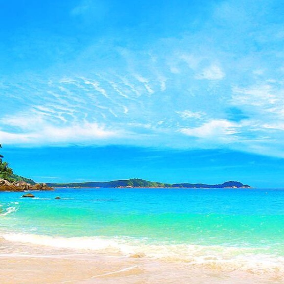 Colleen's Closet - Picture 2 of 2