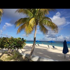 Meet your Posher, Betty