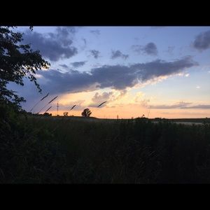 Meet your Posher, Cameron