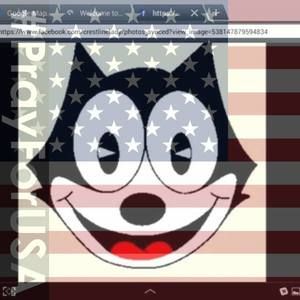 Meet your Posher, Dawn