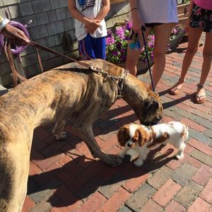 Meet your Posher, Christine