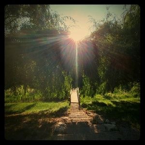 Meet your Posher, Cyesha